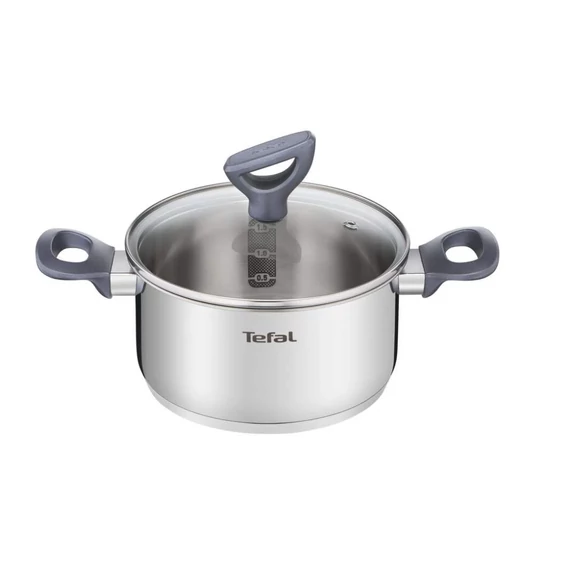 Tefal Lábas fedővel 20 cm rozsdamentes + üveg Daily Cook G7124445
