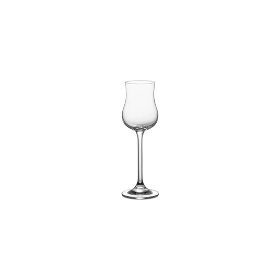 Tescoma Rumos/grappás pohár 110 ml üveg CHARLIE 306419.00