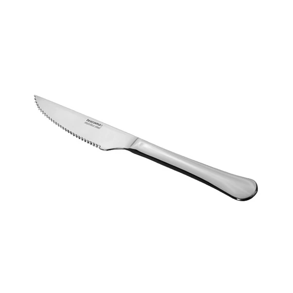 Tescoma Steakkés 2 db rozsdamentes acél CLASSIC 391438.00