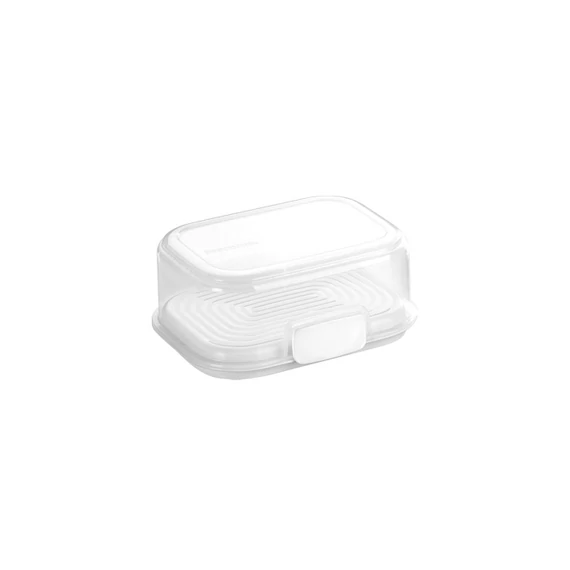 Tescoma Ételtároló tömítéssel 17 x 13 cm FreshZONE 891752.00