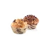 Kép 1/2 - Tescoma Muffinpapír 6 cm 60 db kávéhoz DELÍCIA 630604.00