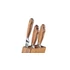 Kép 3/5 - Tescoma Késtartó 5 késsel rozsdamentes acél FEELWOOD 884850.00